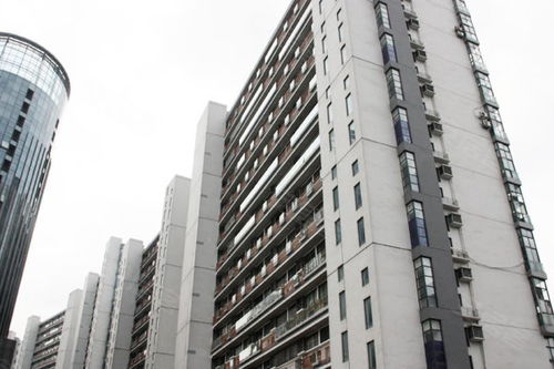 上海青年城優點 不足,上海青年城怎么樣,上海青年城周邊房產中介經紀人評價